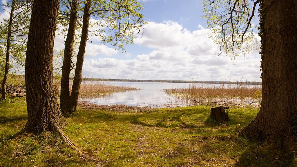 Friedrichsmilde Arendsee (Altmarkkreis Salzwedel)